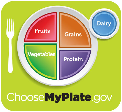 Choose my plate food pie chart